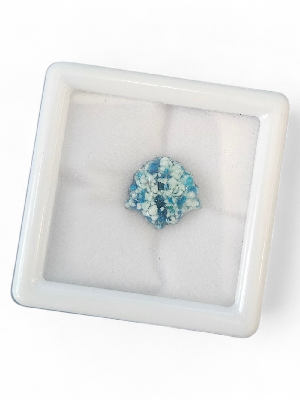 Shell Cabochon
